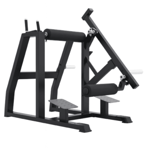 Reverse Hyperextension
