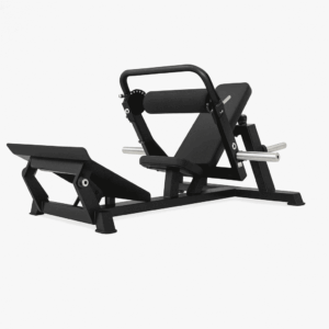 Hip Thrust Pelvis