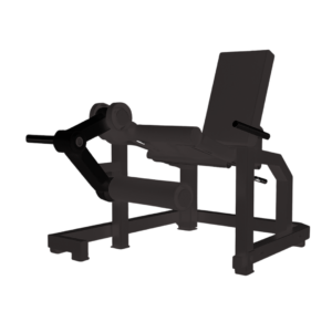 LEG EXTENCION / EXTENSION DE PIERNA