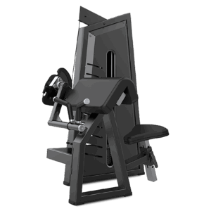 CAMBER CURL & TRICEPS / BICEPS Y TRICEPS